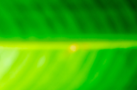 Abstract background の写真素材