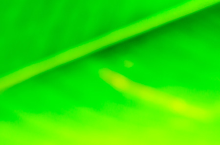 Abstract background の写真素材