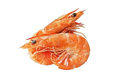 Two boiled prawns on white backgroundの写真素材