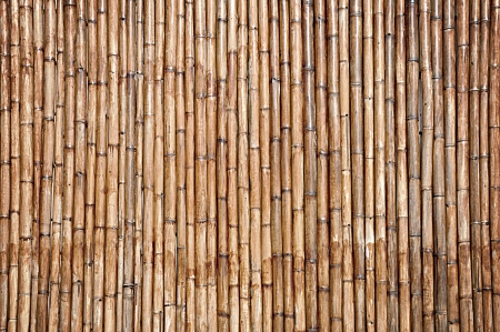 Dry bamboo wall texture backgroundの写真素材