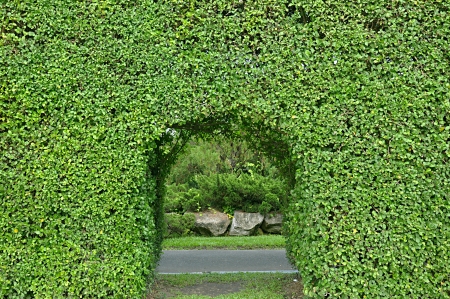 Arched entrance from dwarf treeの写真素材