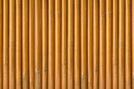 Dry bamboo wood texture backgroundの写真素材