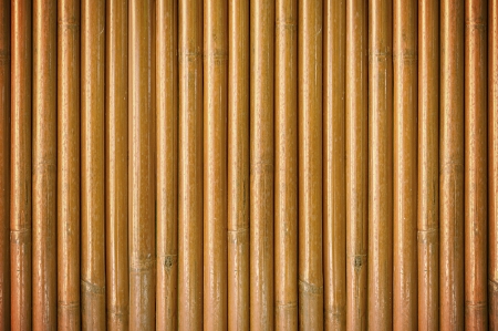 Dry bamboo wood texture backgroundの写真素材