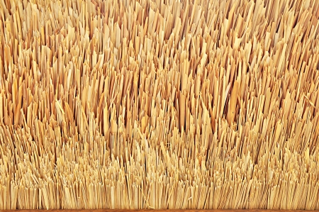 Tip of thatch roof textureの写真素材