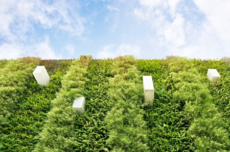 Vertical gardenの写真素材