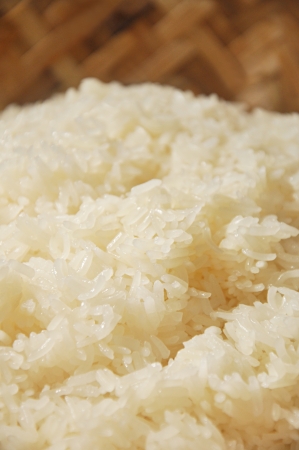 Cooked sticky rice の写真素材