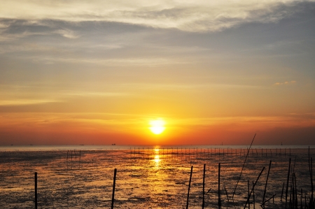 Beautiful sunset from the seacoastの写真素材