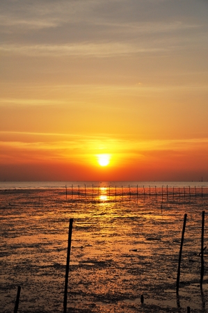 Beautiful sunset from the seacoastの写真素材