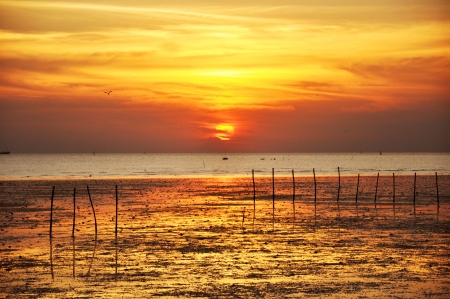 Sunset on the seashoreの写真素材