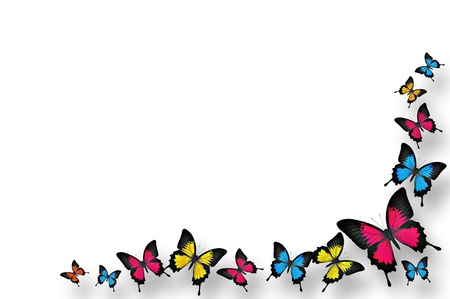Butterflies border designの写真素材
