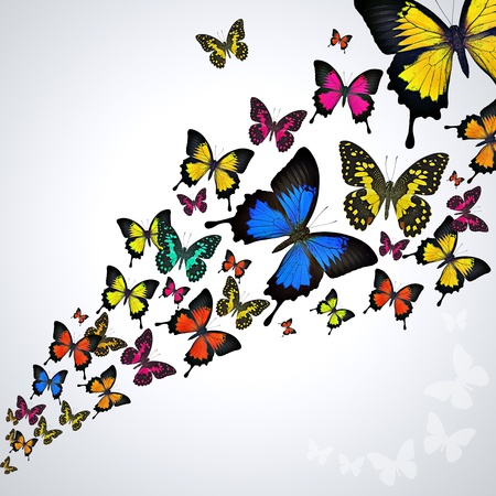 Swarm of butterflies flying backgroundの写真素材