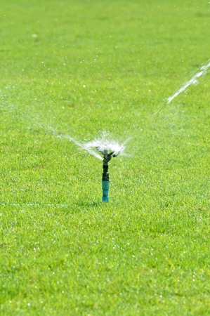 Water sprinkler on green grassの写真素材