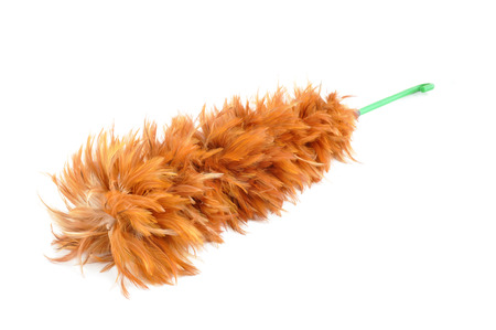 Feather duster - isolated on white backgroundの写真素材