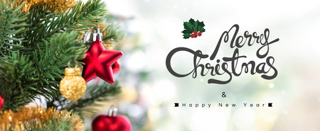 Merry Christmas and Happy New Year, panoramic bannerの写真素材