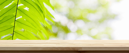 Wood table top on green natural Fern leave banner background - can be used for display or montage your productsの写真素材