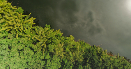 Beautiful tropical green forest by the river with reflection of the clouds, top view aerial drone shotの写真素材