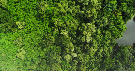 Beautiful tropical green forest by the river, top view aerial drone shotの写真素材