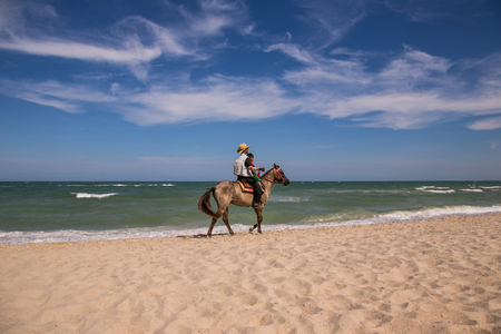 Riding a horse at the beachのeditorial素材