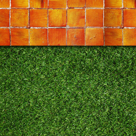 Wall Background on green grassの写真素材