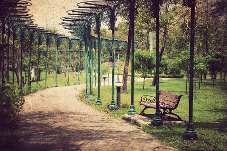 Garden and a wooden chair ,Vintage styleの写真素材