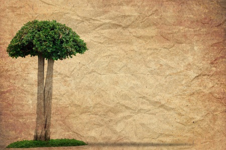 Tree with old grunge paper vintage backgroundの写真素材