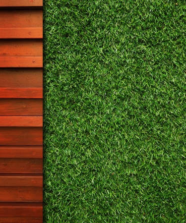 Wall Background on green grassの写真素材