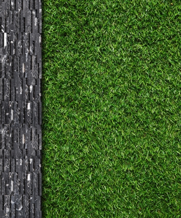 Wall Background on green grassの写真素材