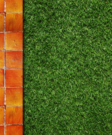 Wall Background on green grassの写真素材
