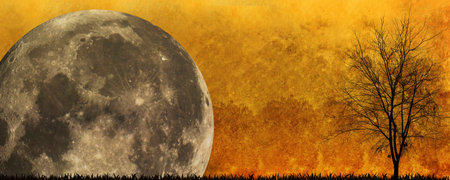 Halloween background