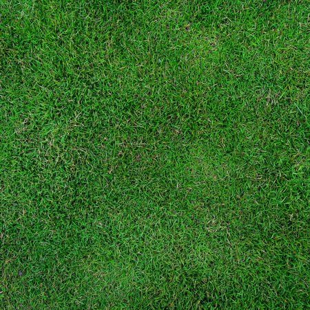 Green grass field for football 