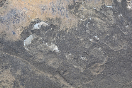 Background of grungy textured wallの写真素材