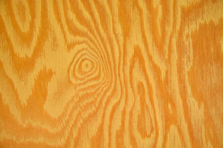 Wood texture background old panelsの写真素材