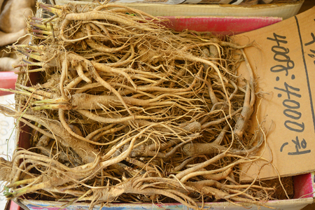 Close up Korean Ginseng Roots in marketの写真素材