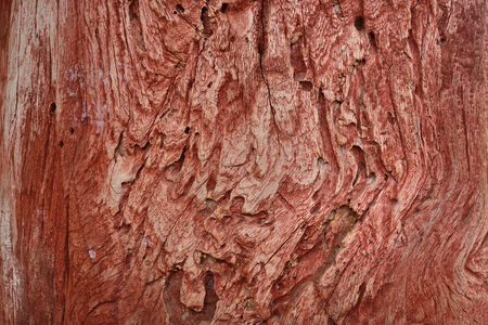 Wood Texture Backgroundの写真素材