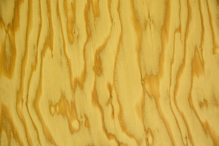 Wood texture background old panelsの写真素材