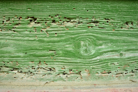 Old wood background, Green colorの写真素材