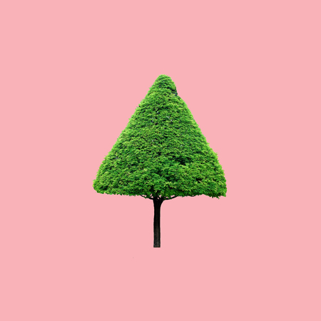 Christmas tree on pastel pink background , Seasons Greeting, Minimal New Year concept.の写真素材