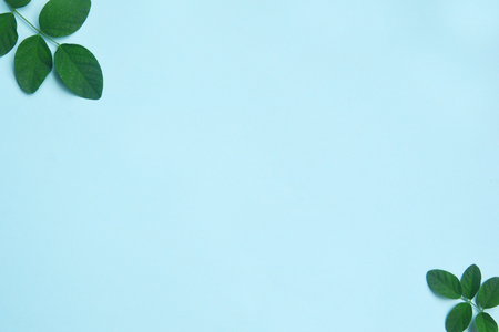 Creative flat lay of tropical leaves on pink background. Minimal concept with copy space.の写真素材