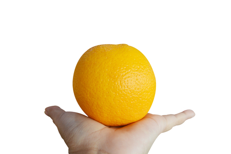 Hand holding orange on isolated on white backgroundの写真素材