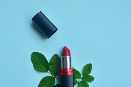 Red lipstick isolated with green leaves on pastel background, Minimal makeup fashion concept.の写真素材