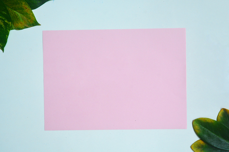 Colorful creative flat lay of tropical leaves on pink background. Minimal concept with copy space.の写真素材