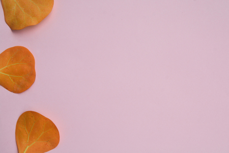 Creative flat lay of colorful tropical leaves on pink background. Minimal concept with copy space.の写真素材