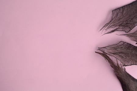 Creative lay out of leaf on pink background. Minimal concept with copy space.の写真素材