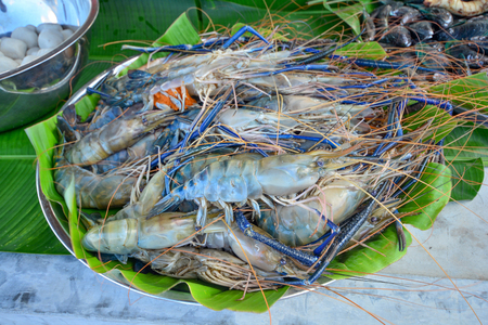 Fresh raw Shrimps fresh market, Tiger prawn seafoodの写真素材