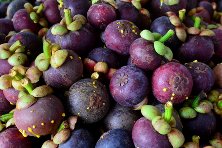 Fresh mangosteen fruit for sale in a market, Mangosteen background, Fruit backgroundの写真素材