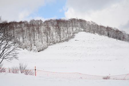 Mountain skiing and snowboarding in Gala Yazawa Snow Resort, Niigata, Japanの写真素材