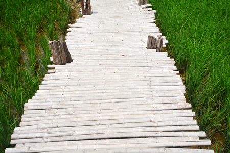 Empty Bamboo bridge walkway on green rice fields, nature background, copyspaceの写真素材