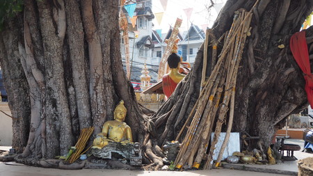 photo in Chiangmai,Thailandの写真素材