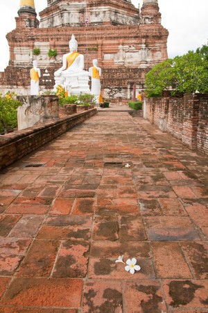 The Buddha at  Ayutthaya old city in Thailand.の写真素材