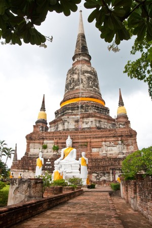 The Buddha at  Ayutthaya old city in Thailand.の写真素材